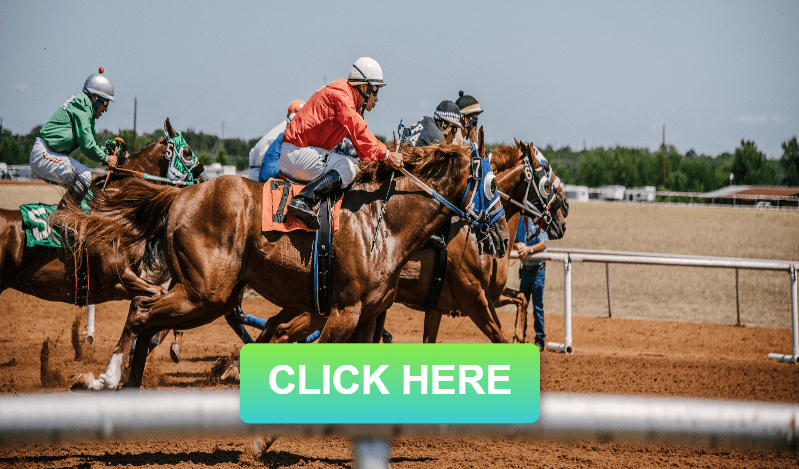 horse racing